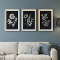 Bloom Noir - Set of 3